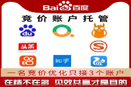 成功SEM服务案例：优化广告投放